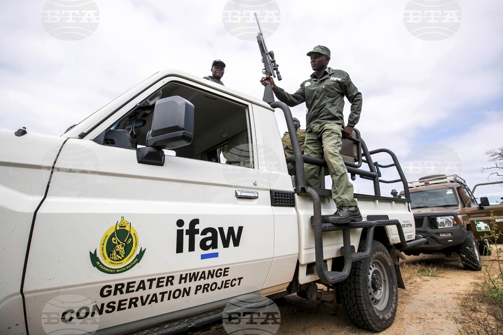 Zimbabwe Elephant Crisis
