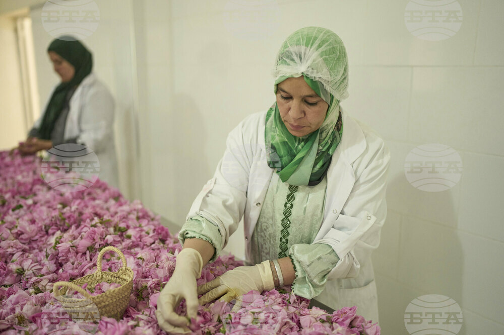 Morocco Rose Festival