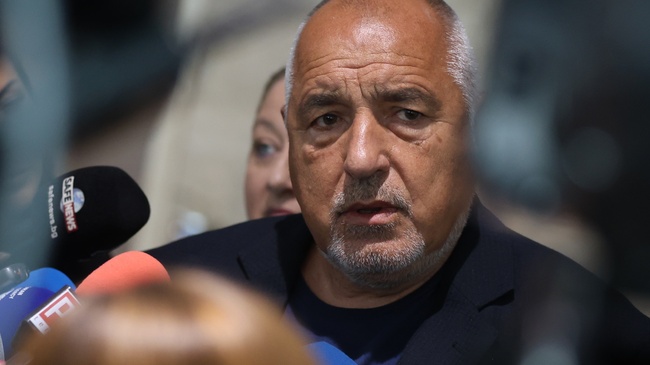 GERB Have No Involvement with Sofia Public Transport Protests - Party Leader Borissov