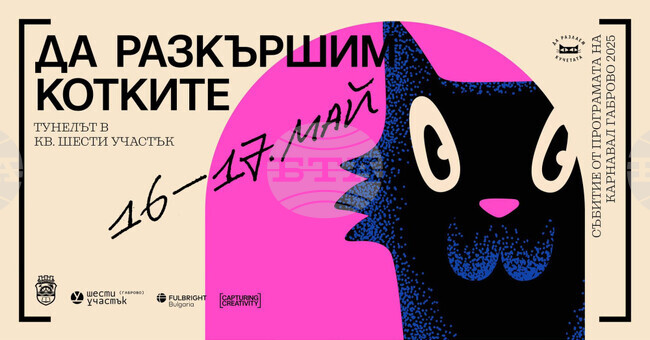 В незавършения тунел в Шести участък в Габрово се провежда събитието „Да разкършим котките“ 