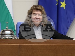 Народно събрание - заседание - Наталия Киселова