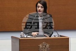 Народно събрание - заседание - Лена Бориславова