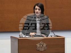 Народно събрание - заседание - Лена Бориславова