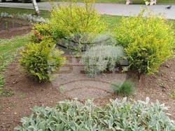 Снимка: Община Шумен