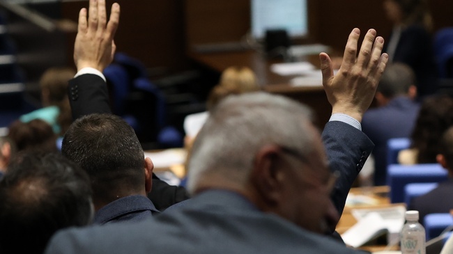 Parliament Elects New Leaders of International Delegations