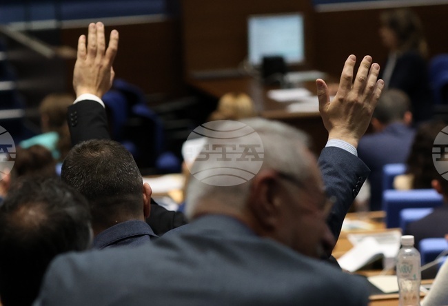 Parliament Elects New Leaders of International Delegations