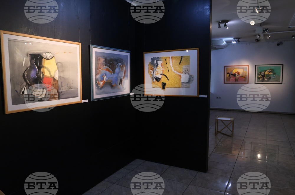 “Острови”- изложба - представяне