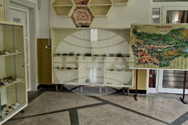 Мадан - гимназия - годишнина