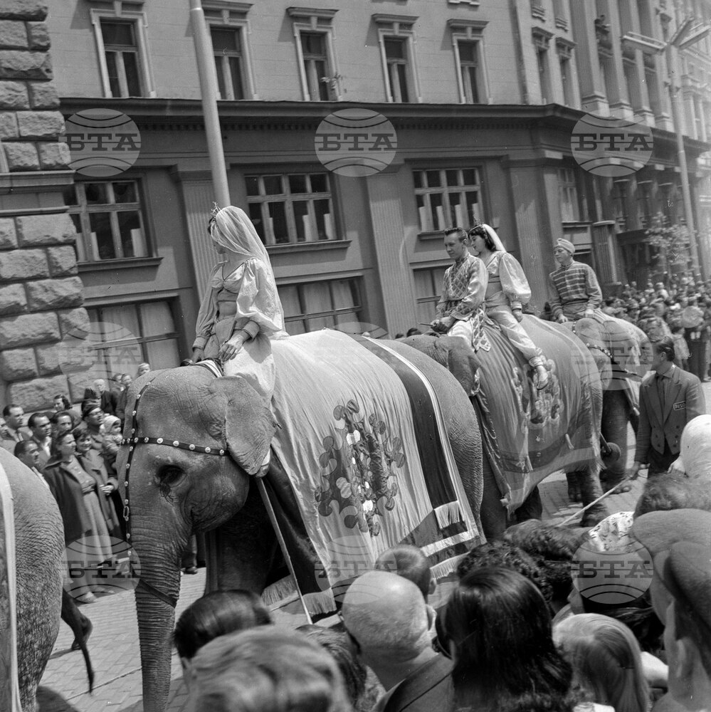 Circus Parade in Sofia in 1960