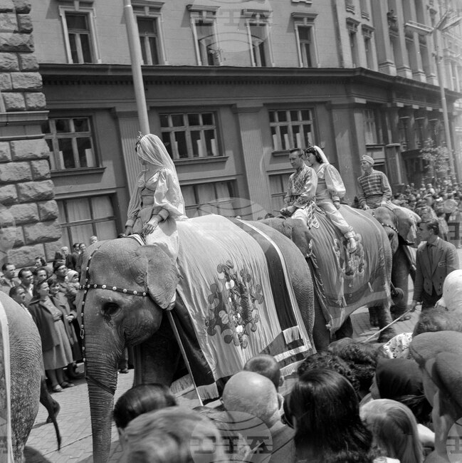 Circus Parade in Sofia in 1960