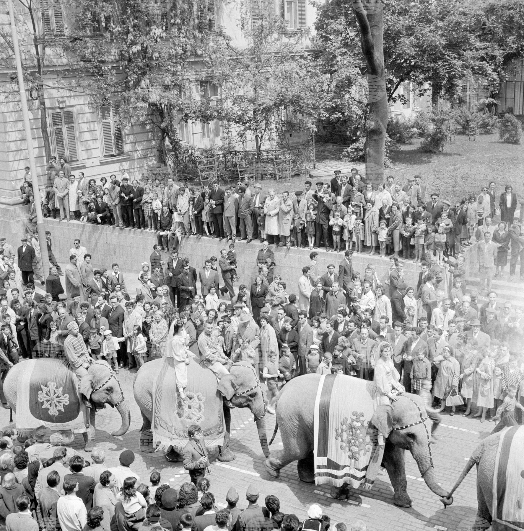 Цирков парад в столицата през 1960 г.