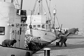 Заливът в Несебър - 1970 година