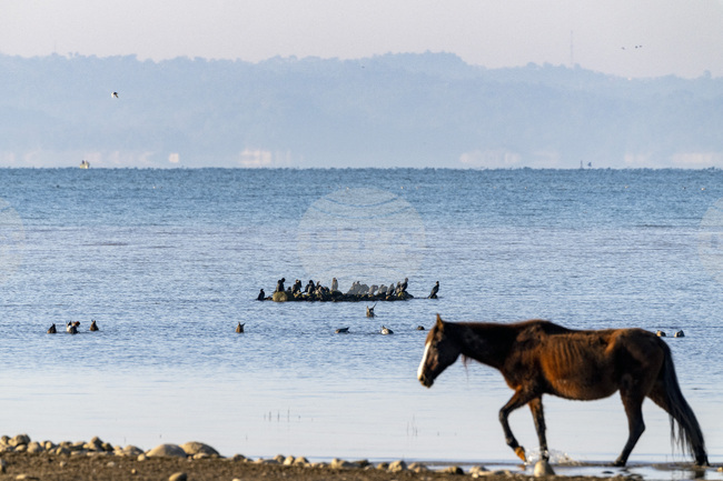 Индия планира язовир в отговор на китайски мега проект в Тибет, според Ройтерс