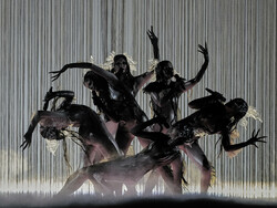 Switzerland Eurovision Song Contest
