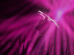 Switzerland Eurovision Song Contest