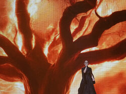 Switzerland Eurovision Song Contest