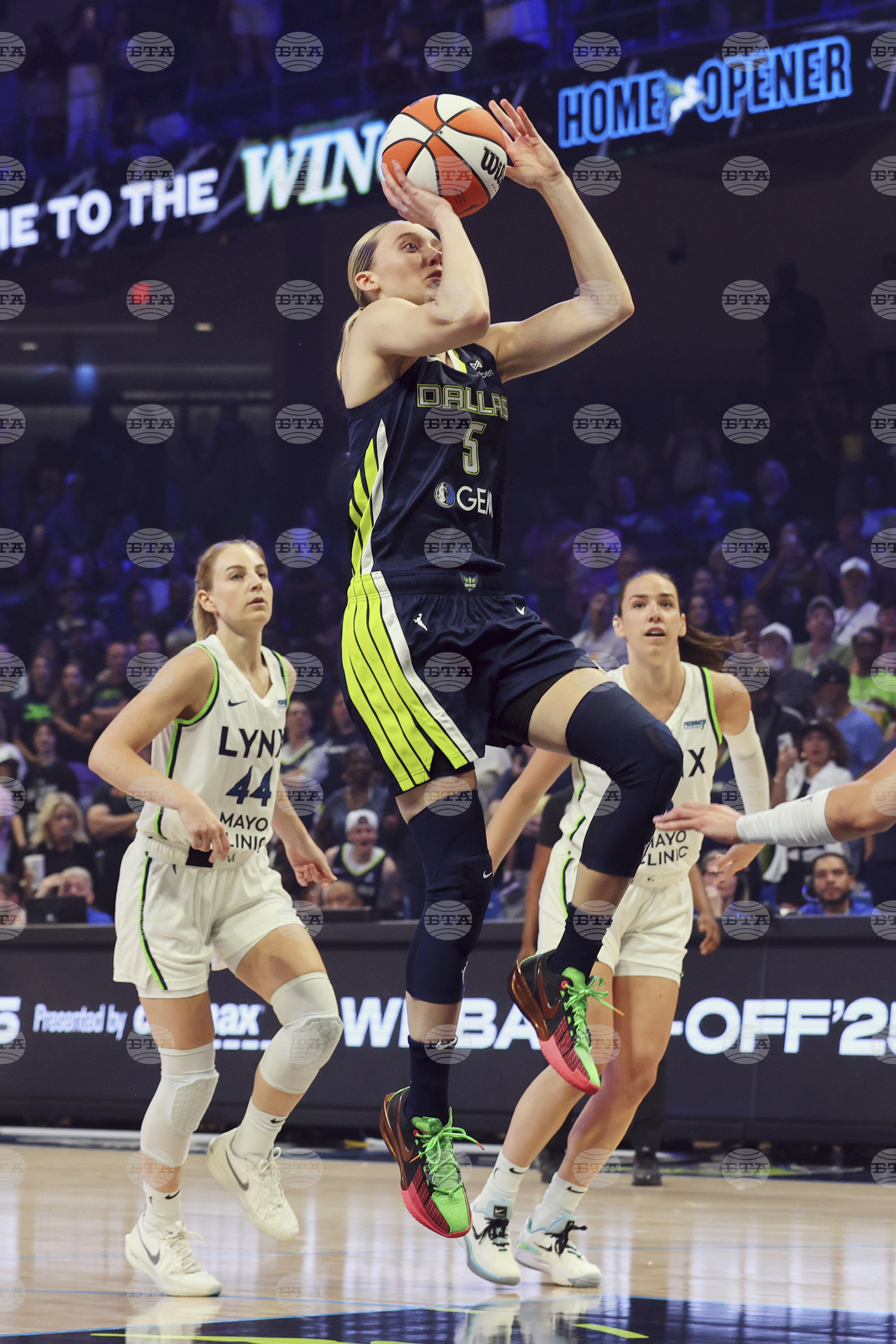 Lynx Wings Basketball