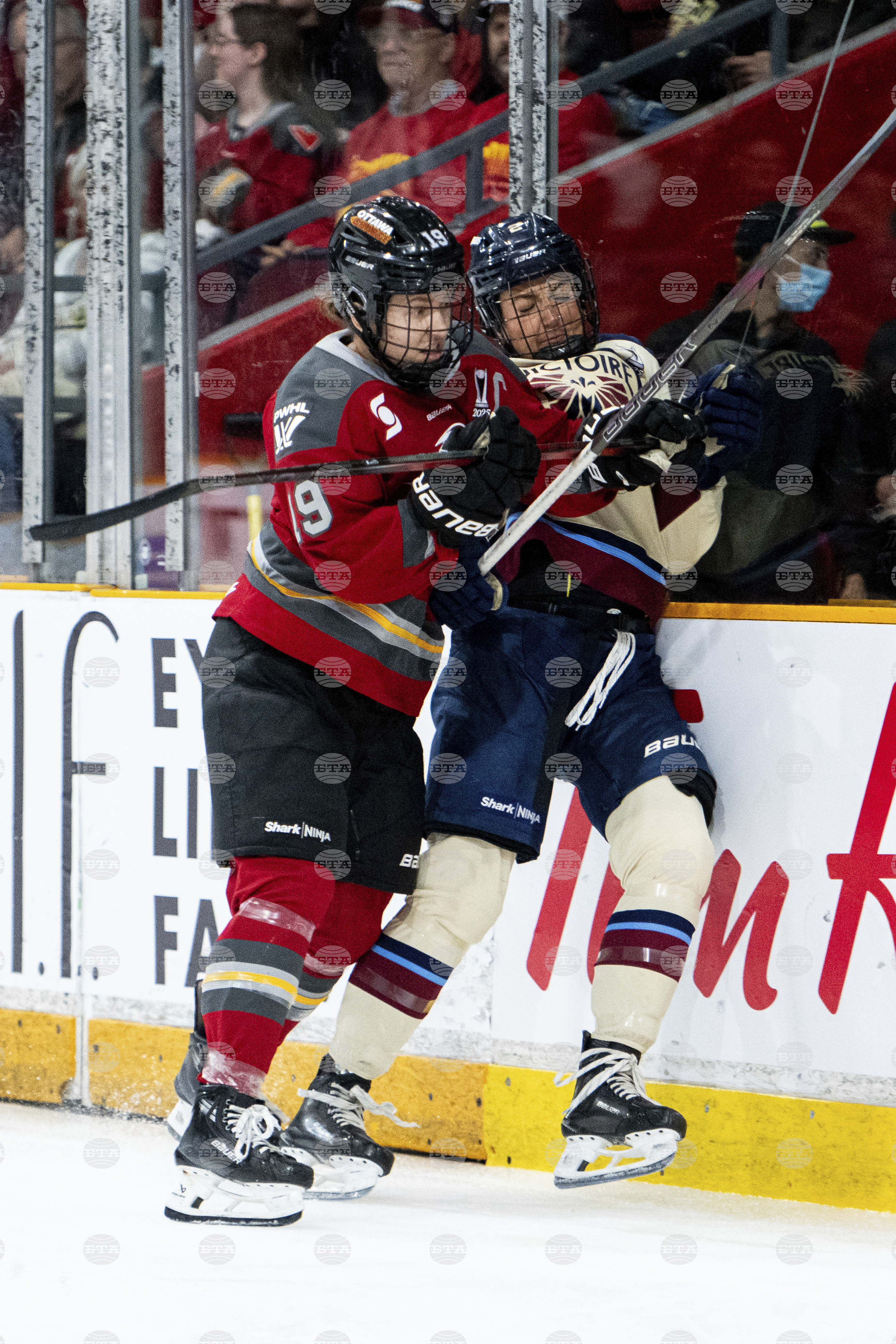 PWHL Victoire Charge Hockey