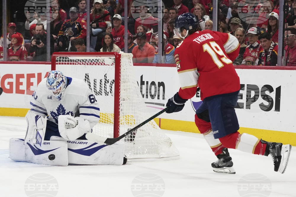 Maple Leafs Panthers Hockey