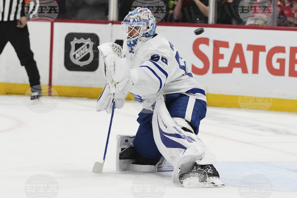 Maple Leafs Panthers Hockey
