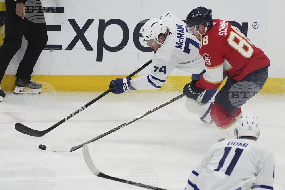 Maple Leafs Panthers Hockey
