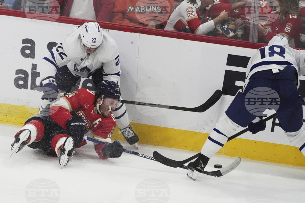 Maple Leafs Panthers Hockey