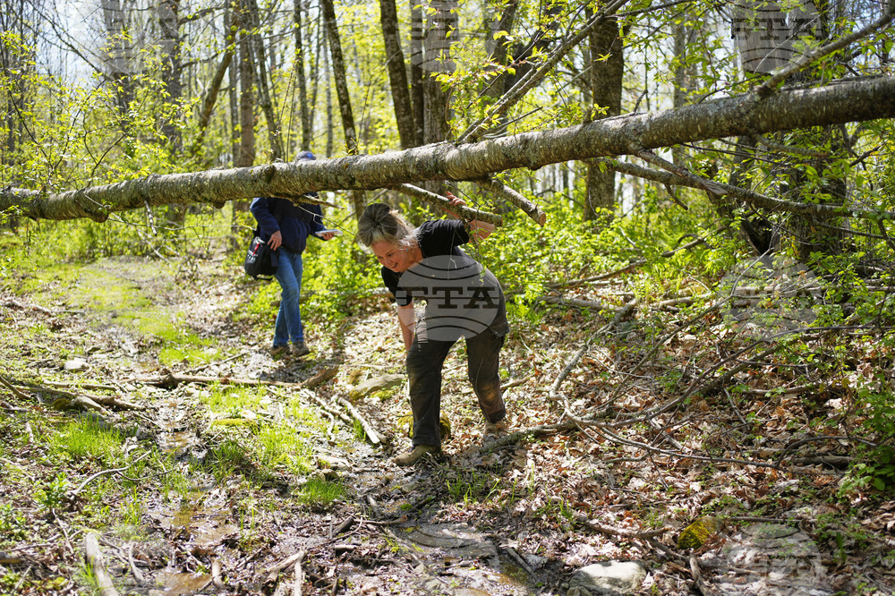 BLAIR WITCH PROJECT MAINE