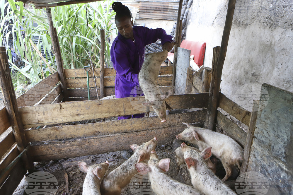 Kenya Gangster Farmers