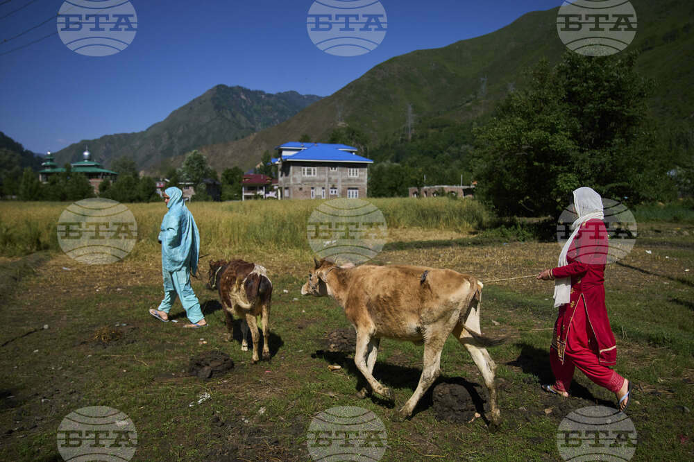 India Kashmir Border Photo Gallery