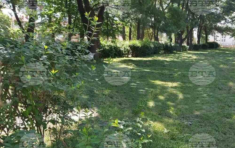 Извършва се повторно косене в Сливен, в бюджета са заложени повече средства за дейност “озеленяване”