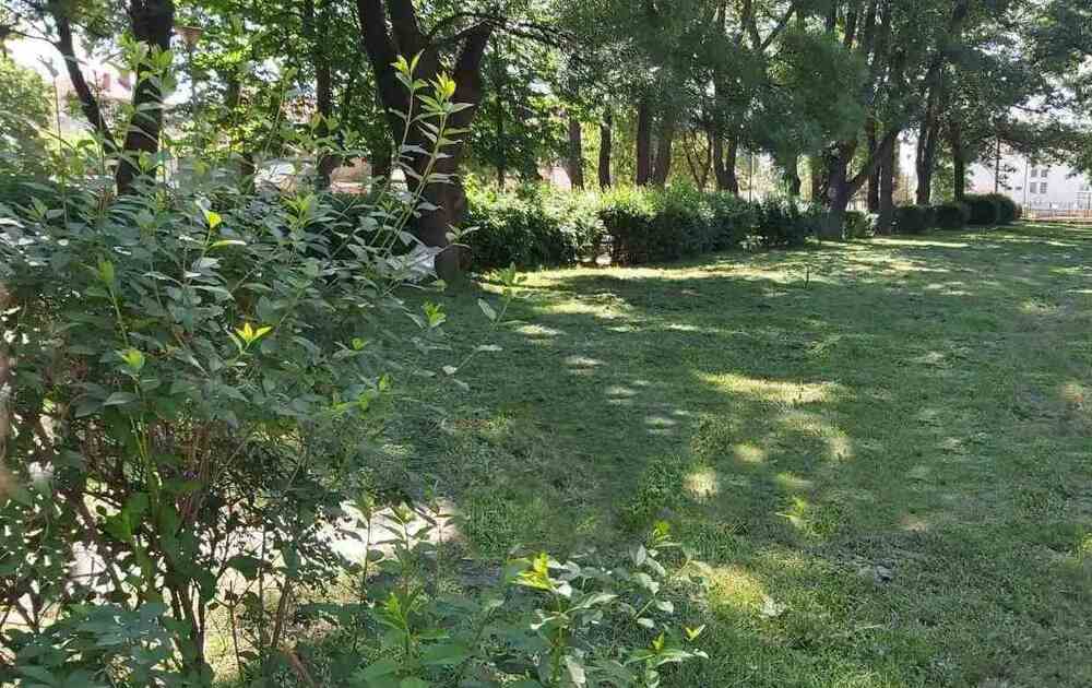 Извършва се повторно косене в Сливен, в бюджета са заложени повече средства за дейност “озеленяване”