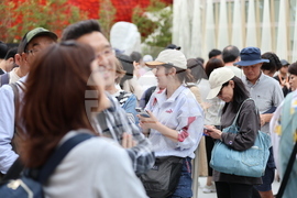 Япония - изложение ЕКСПО 2025 в Осака