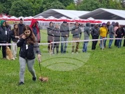 Търговище - Традиционен пролетен панаир - киноложка изложба