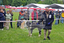 Търговище - Традиционен пролетен панаир - киноложка изложба