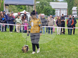 Търговище - Традиционен пролетен панаир - киноложка изложба