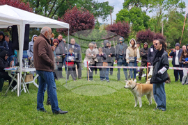 Търговище - Традиционен пролетен панаир - киноложка изложба