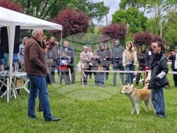 Търговище - Традиционен пролетен панаир - киноложка изложба
