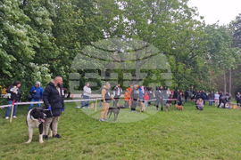 Търговище - Традиционен пролетен панаир - киноложка изложба