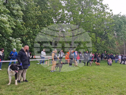 Търговище - Традиционен пролетен панаир - киноложка изложба