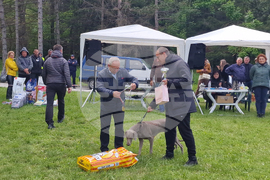 Търговище - Традиционен пролетен панаир - киноложка изложба