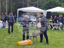 Търговище - Традиционен пролетен панаир - киноложка изложба