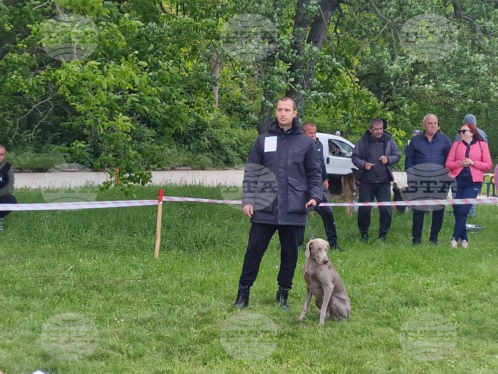 Общо 31 кучета се включиха в киноложка изложба в Търговище