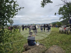 Сливен - крепост "Туида" - брадати лешояди