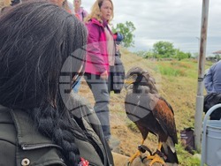 Сливен - крепост "Туида" - брадати лешояди