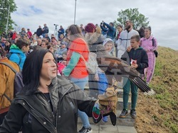 Сливен - крепост "Туида" - брадати лешояди