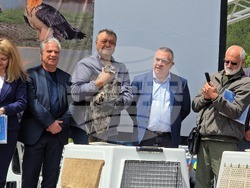 Сливен - крепост "Туида" - брадати лешояди