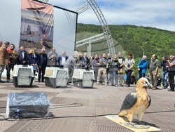 Сливен - крепост "Туида" - брадати лешояди