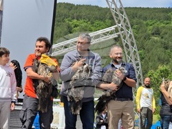 Сливен - крепост "Туида" - брадати лешояди