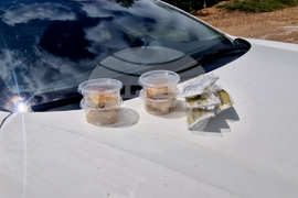 ГКПП Рудозем - Ксанти - граница - ограда