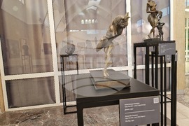 Стара Загора - Европейска нощ на музеите